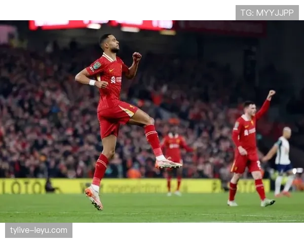 加克波：从荷兰前锋到英超高光，职业态度成应对高低谷的典范