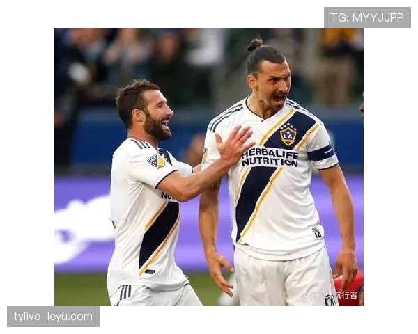 穆勒技术特点解析 穆勒技术特点解析